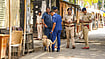 A Bomb Threat For A Day Off? Delhi Police Apprehend School Student | Photo: PTI : Representative Image