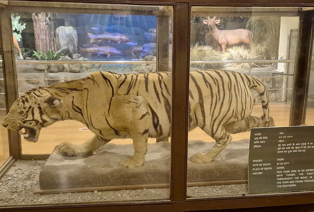 Museum in Ramnagar