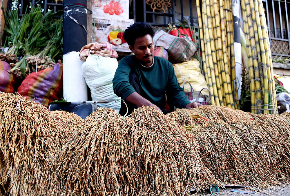 vendor sells decorative paddy bunches