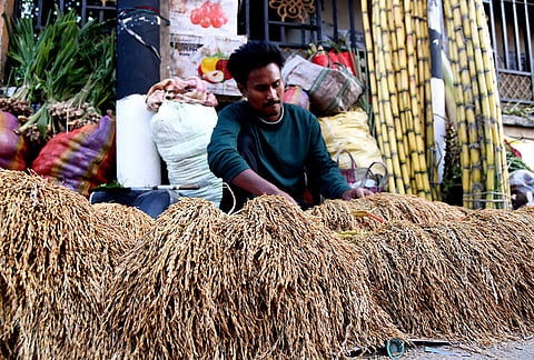 A vendor sells decorative paddy bunches ahead of 'Lakshmi Puja', in Guwahati, Assam, Saturday, Oct. 24, 2026. 
