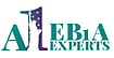 EB1A Experts: From A Personal Immigration Challenge To A Growing Technology Business