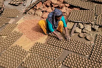 | Photo: PTI : An artisan arranges earthen lamps to dry in the sun ahead of 'Diwali' festival, in Gurugram, Haryana, Tuesday, Oct. 27, 2026. 