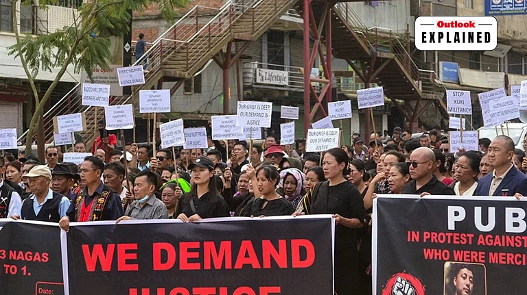 Demonstrators hold banners and placards during a rally to stage a protest against the killing of people from the Naga community by alleged Kuki militants, in Senapati, Manipur. - PTI