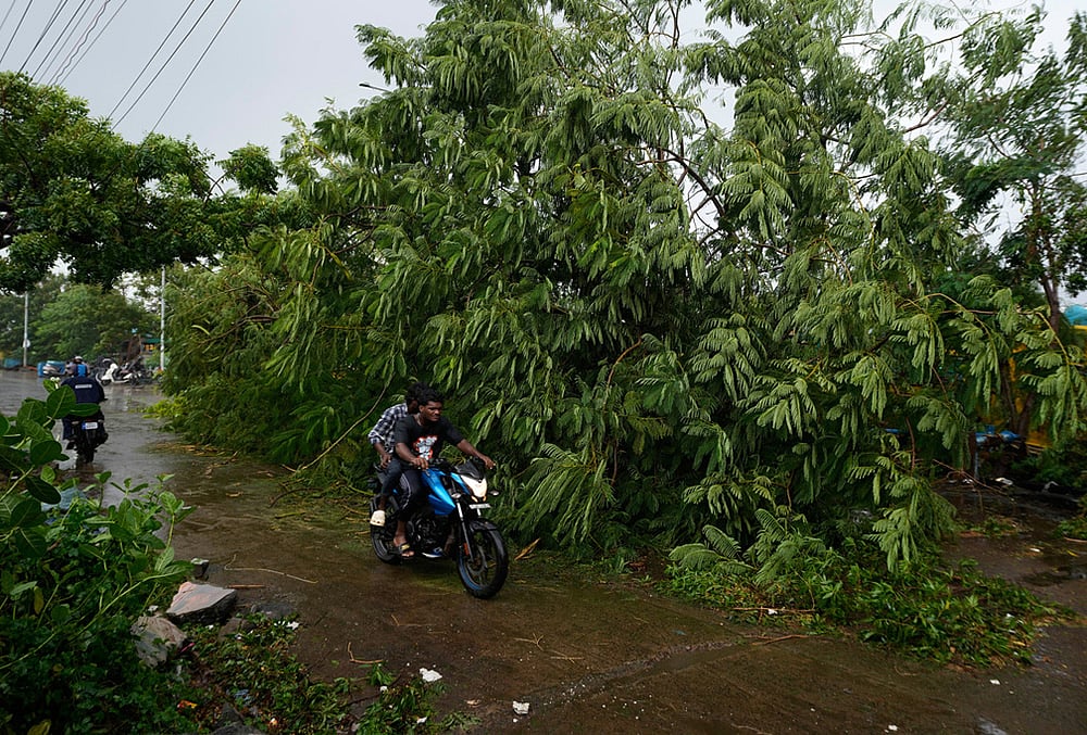 Cyclone Arnab uprooted trees
