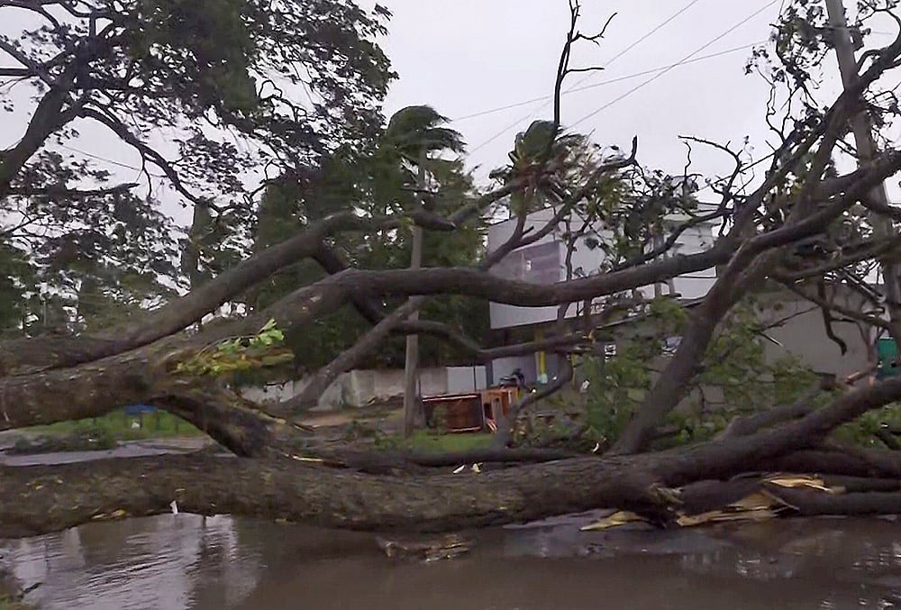 Cyclone Arnab destruction