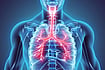 Respiratory Diseases Top Causes Of Medically Certified Deaths In Mizoram In 2025 Xray view of Respiratory System