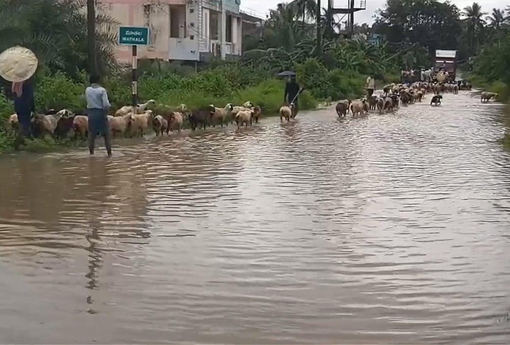 Cyclone Arnab in Srikakulam