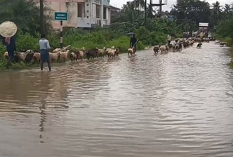 Commuters wade through a waterlogged road following heavy rains triggered by Cyclone Arnab, in Srikakulam, Andhra Pradesh. Cyclone Arnab crossed the Andhra coast early on Wednesday, leaving a trail of destruction with uprooted trees and electric poles and damaged roads, while five persons were killed in related incidents including electrocution. 