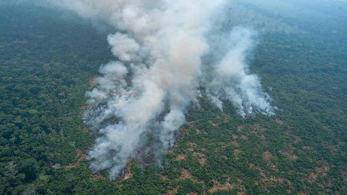 Amazon Rainforest Fires