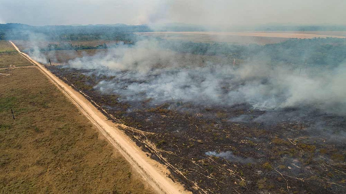 In Pictures: Amazon Rainforest Fires