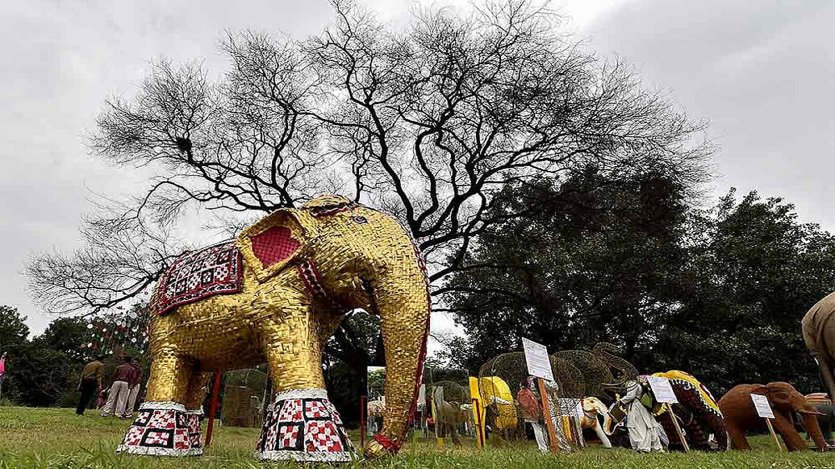Gaj Mahotsav