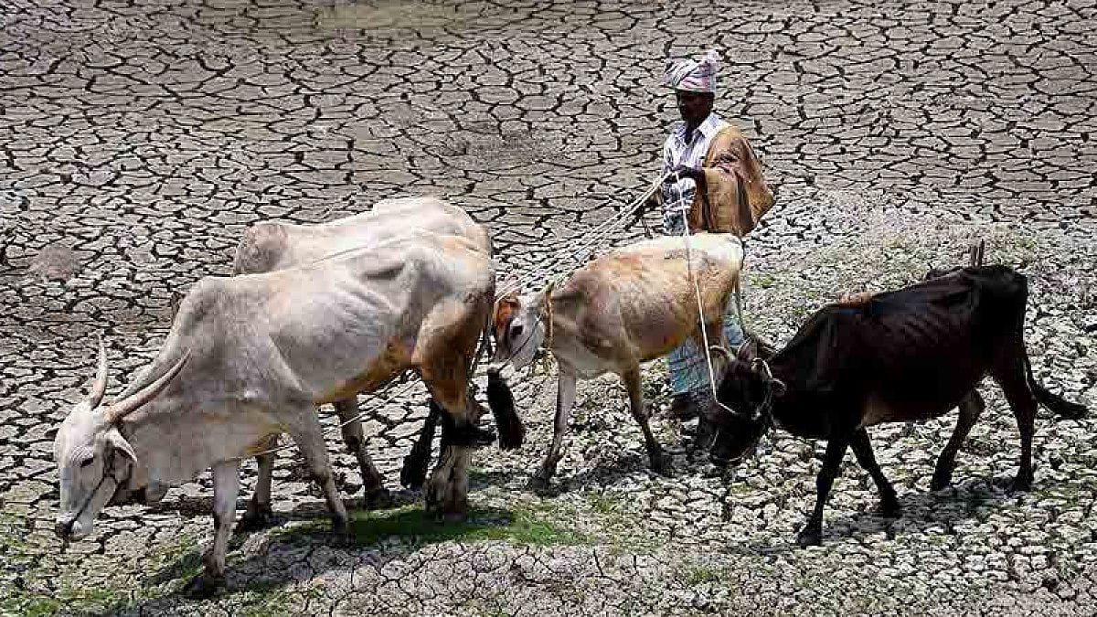 IMD Reveals 2021 To Be The Fifth Warmest Year Since 1901
