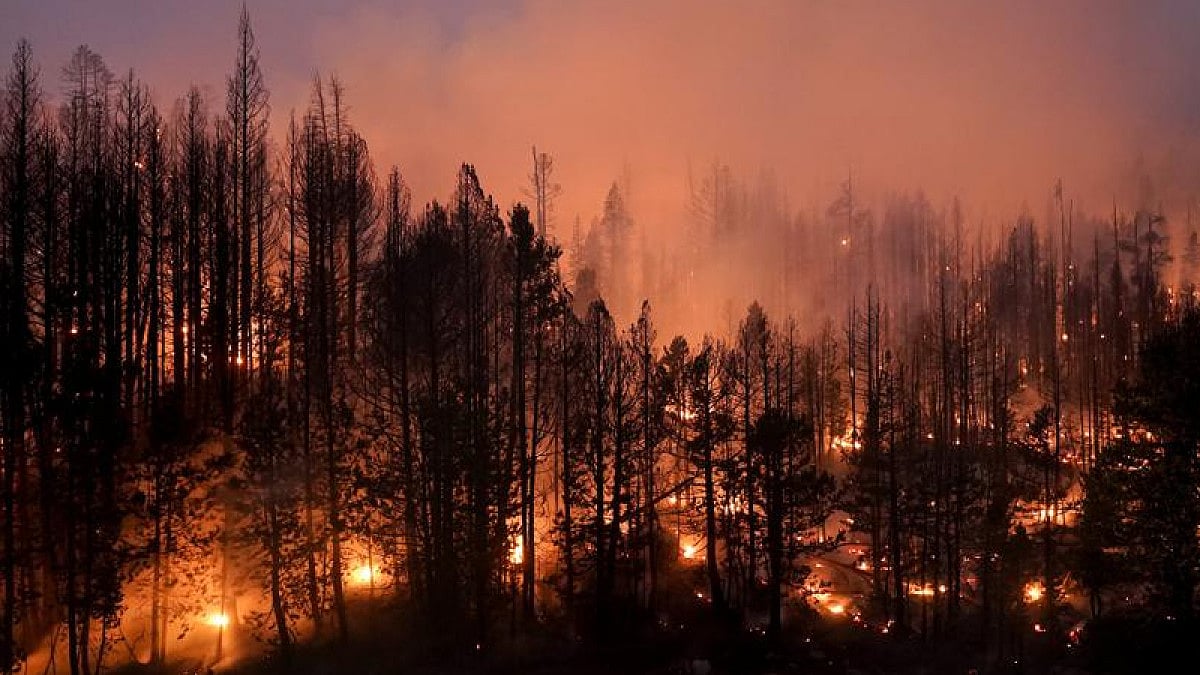 Representational image of a wildfire in US.