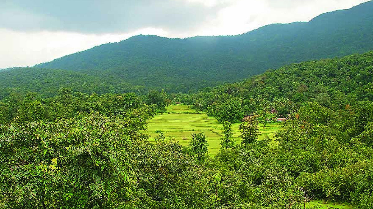 Paraglider Dies After Falling From Parachute In Assam