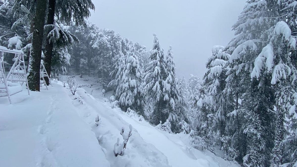 Photo Gallery: Its Snowing In Himachal Pradesh!