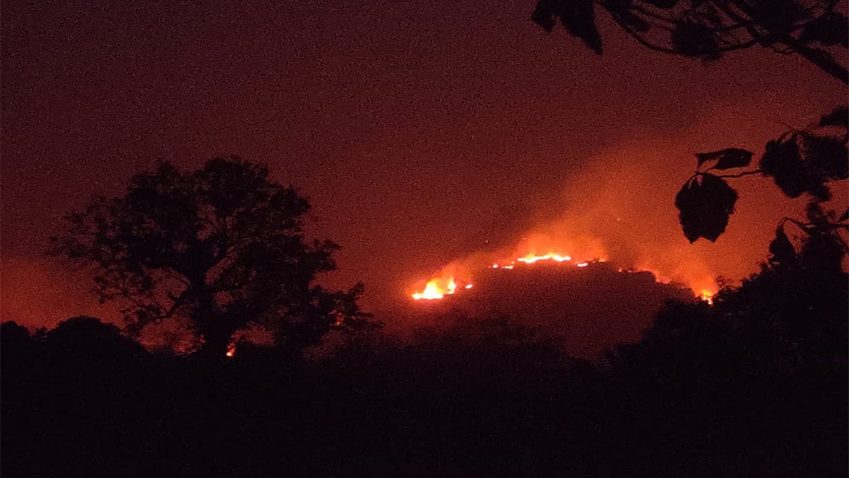 In Pictures: Odisha’s Simlipal Tiger Reserve Is Burning