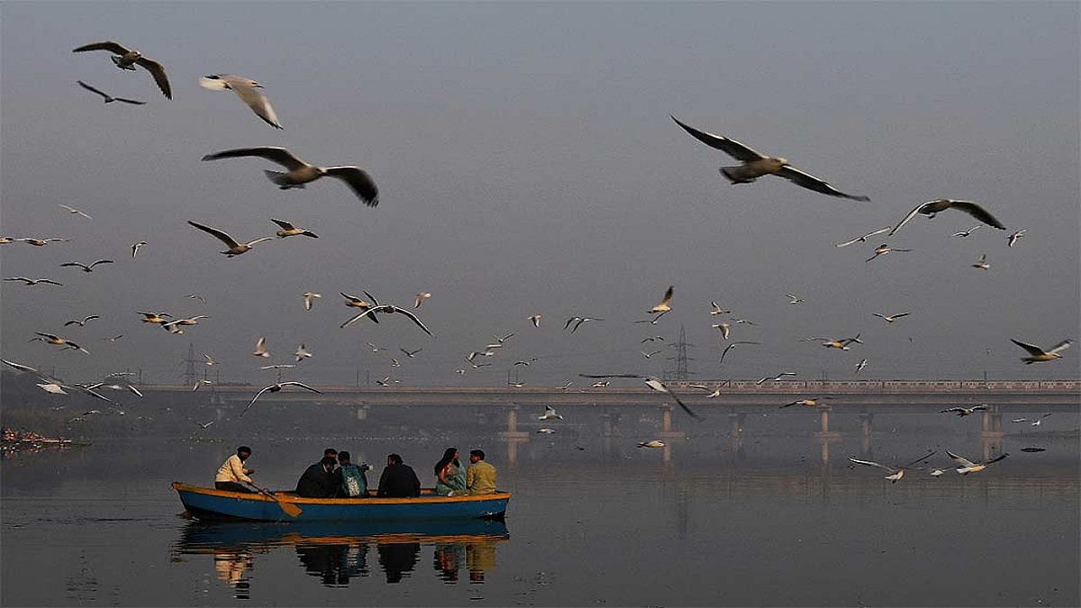 Winged guests, spread your wings and fly high as the sky is your home