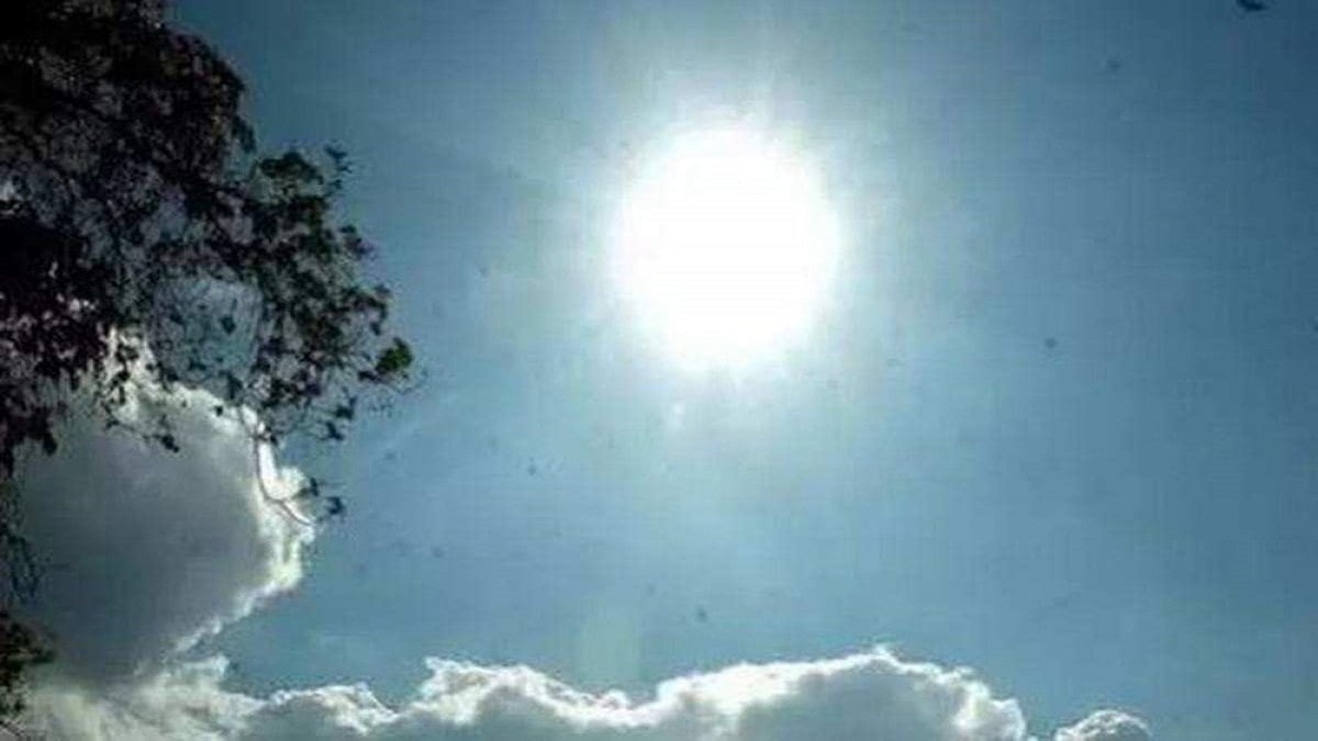 Sunny Morning In Delhi