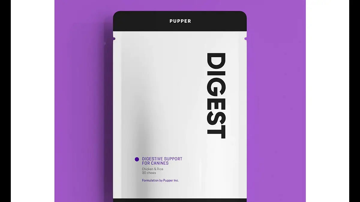 Best Dog Probiotics