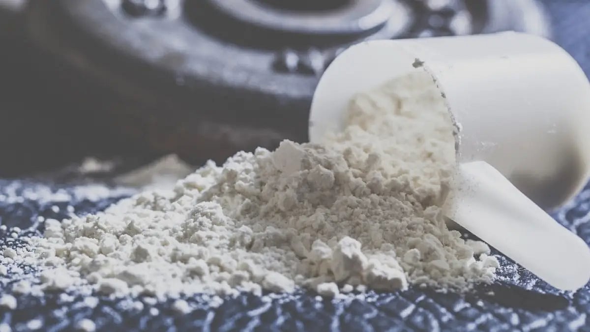 Best Whey Isolate Protein Powders