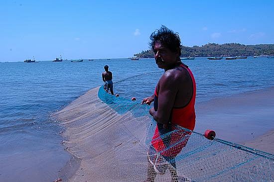 Goa Diary