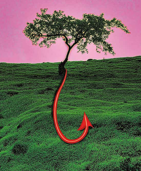 War And Green Peace