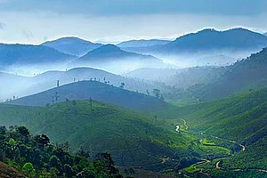 Nilgiris Diary