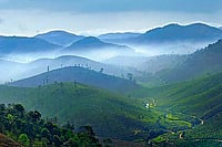 Nilgiris Diary