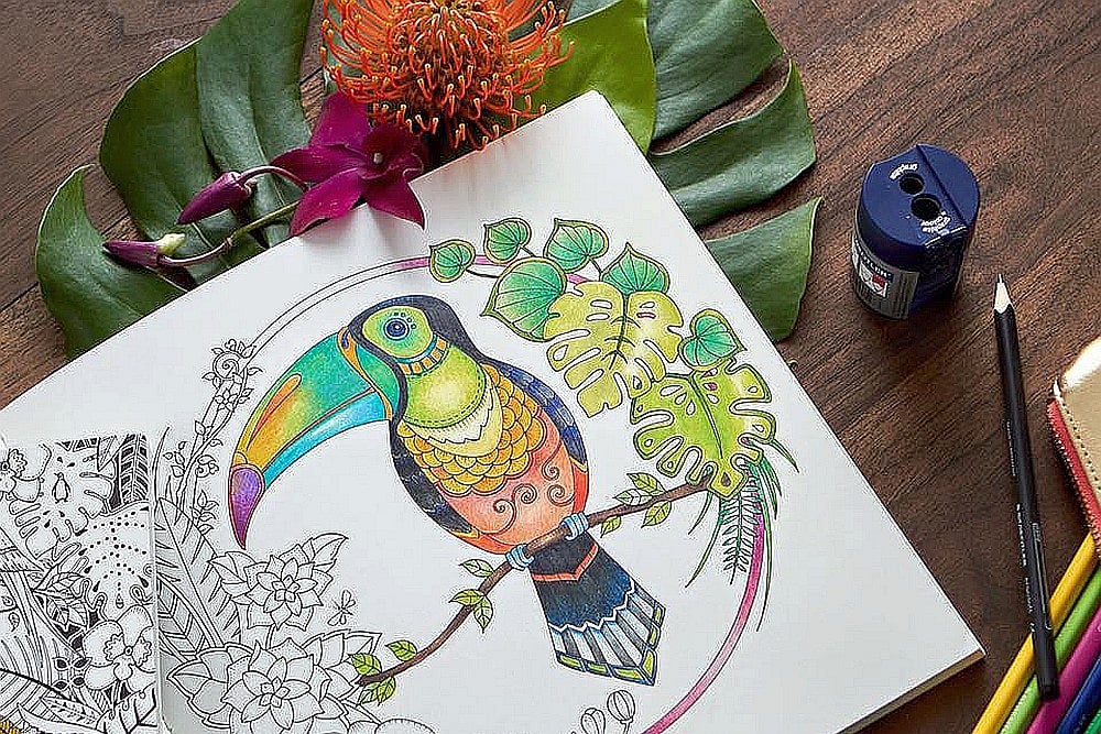 Adding Colour To An Adulting World