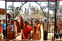 Aranya Parva: A Forest Of Meaning...And Belonging