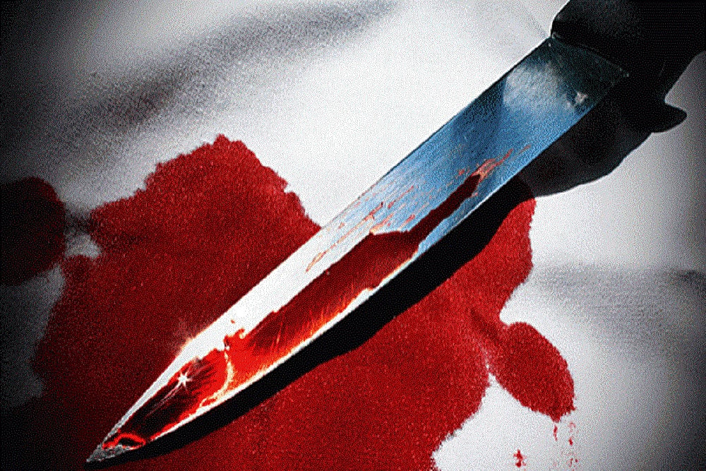 Hyderabad man kills live-in partner in Shraddha Walkar murder-like strategy.