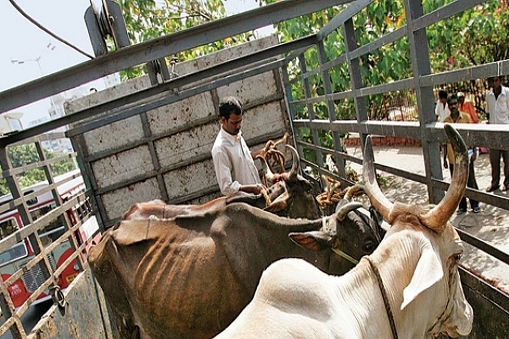 Delhi Farm House Caretaker Killed By Cow Vigilantes