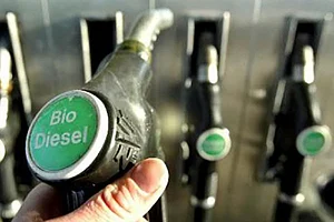 Indian Scientists Develop New Technology To Make Biodiesel- A Clean Fuel More Cleaner