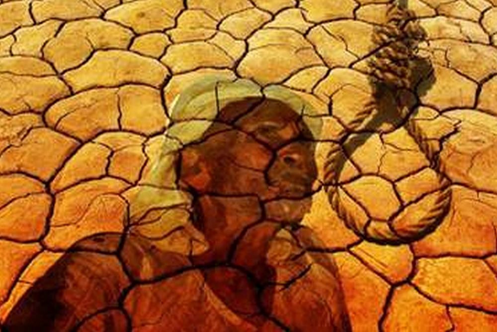 15 Farmer Suicides Reported In Maharashtra's Yavatmal In September (Representational Image)