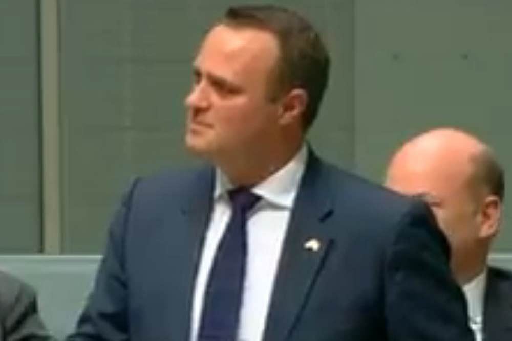 Will You Marry Me? Australian MP Tim Wilson Proposes Partner In Parliament Amid Same-Sex Marriage Debate