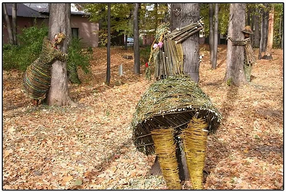 In the land of Chipko, 20-Year-Old Woman Burnt Alive For Protesting Cutting Of Trees - null