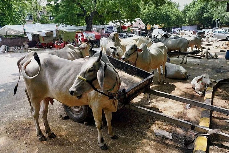 Madras High Court Stays Centre's Order To Ban Cattle Sale For Slaughter By Four-Weeks - null