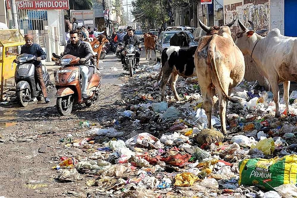 File Photo  : UP SDM Rinku Singh Rahi, does sit ups to apologize for poor sanitation in the area alloted to him I Representative Image 