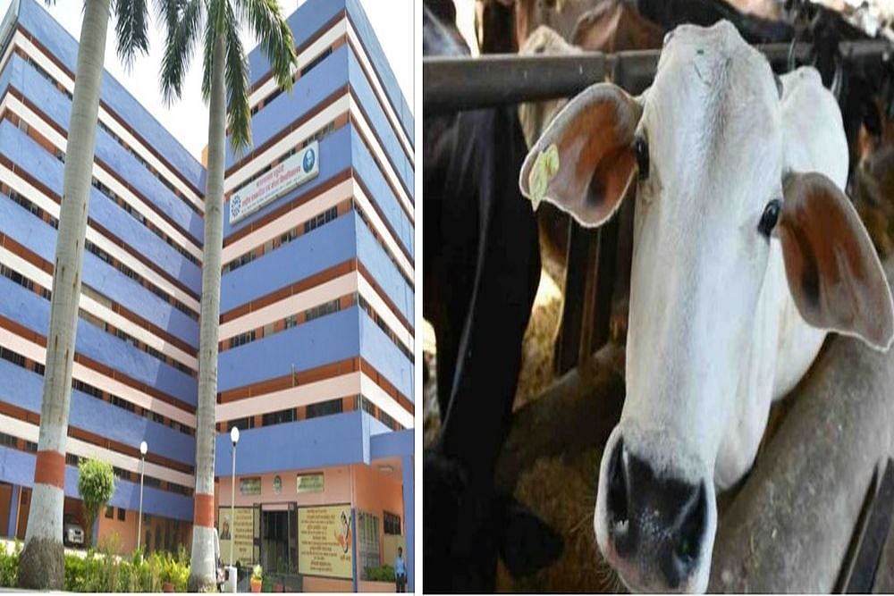 ‘Gaushala’ At Journalism Varsity? Makhanlal University To Set Up Cowshed To Give Students ‘Fresh Milk’