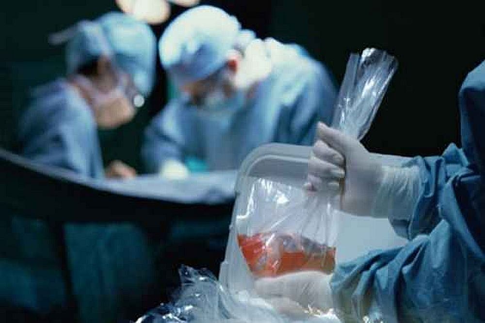 illegal organ trafficking