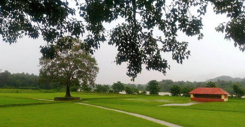How A Novel Explores Female Mind With A Whiff Of Onam-Time Breeziness