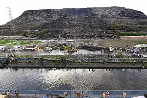 Are People Of Delhi Supposed To Die Under A Garbage Dump? NGT Raps AAP Government