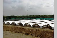 How Indian Scientists Have Started Harvesting Potable Drinking Water From Dew