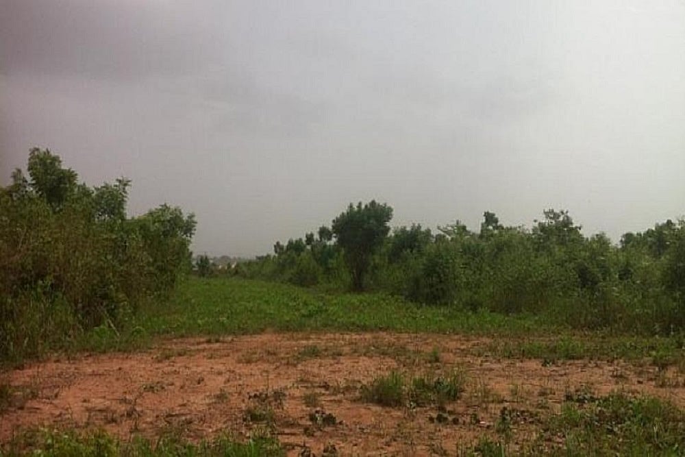 Congress MLA Booked For ‘Grabbing’ Land of Chhattisgarh Tribal Man