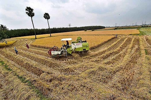 The Cabinet approved a Rs 105 per quintal hike in the minimum support price of wheat.