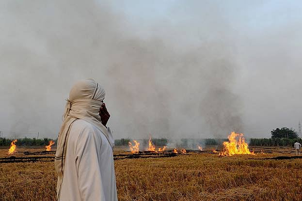 Air Quality 'Severe' In City, Farm Fires Rage In Punjab