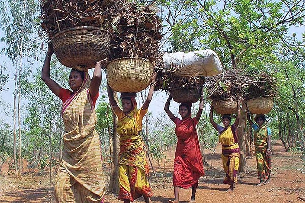 West Bengal Government Plans Rs 350 Crore Package for Tribal Area Development (Adivasi-dominated areas)