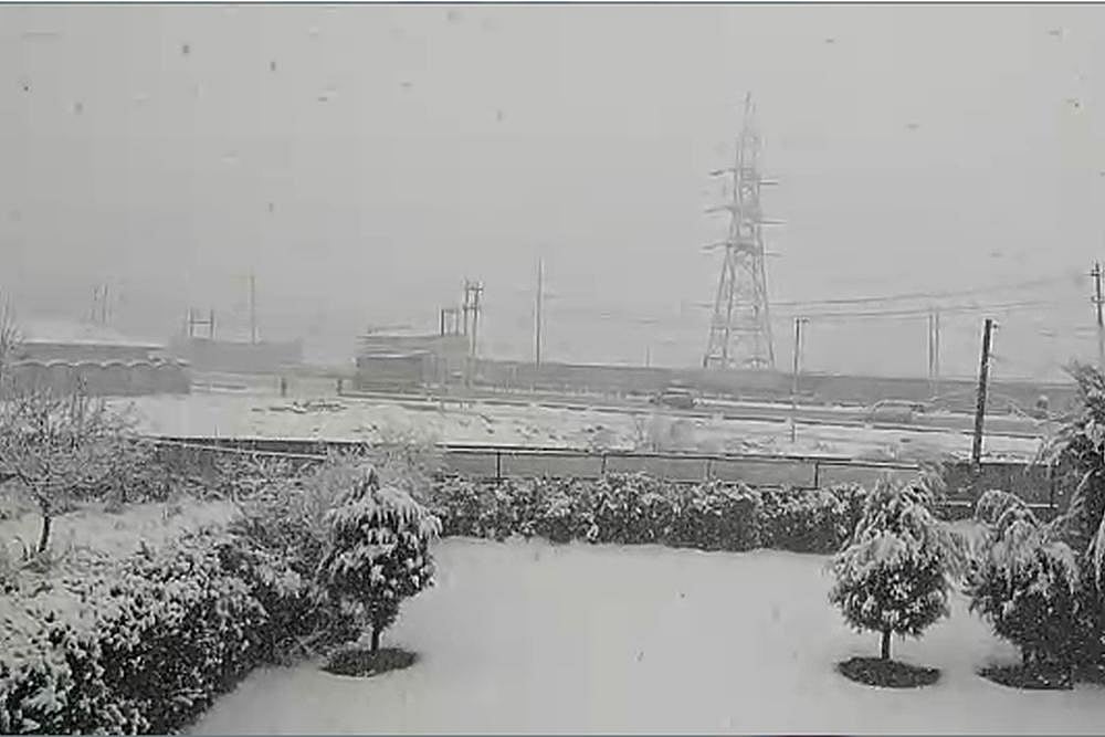 Monday Morning Comes With Snowfall In Kashmir Valley