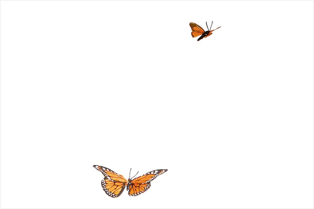 An Open Affair With Freedom