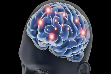 India Takes Major Leap In Brain Mapping With Release Of World’s Most Detailed 3D Atlas Of The Human Brainstem